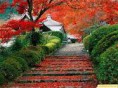 /album/paisajes/a111-jpg/