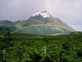 /album/paisajes/paisaje-con-arcoiris-jpg/